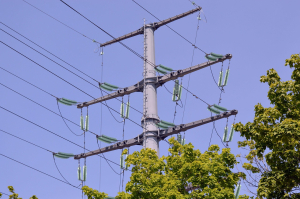 Drzewa pod liniami energetycznymi mogą powodować awarie i zagrożenia