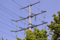 Drzewa pod liniami energetycznymi – zasady i odpowiedzialność