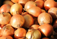 Właściwości i zastosowanie łupin cebuli jako naturalnego nawozu